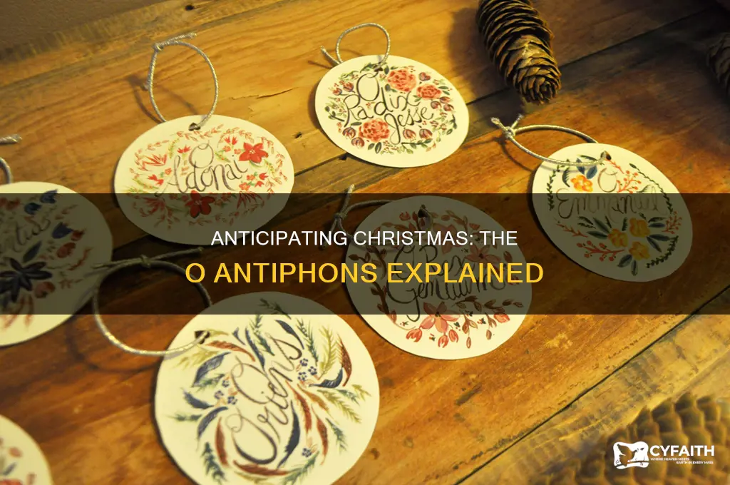 what is the o antiphons catholic tradition