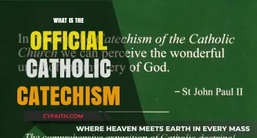 Understanding the Catholic Catechism: Official Doctrine