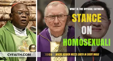 Catholicism and Homosexuality: Exploring the Church's Official Stance