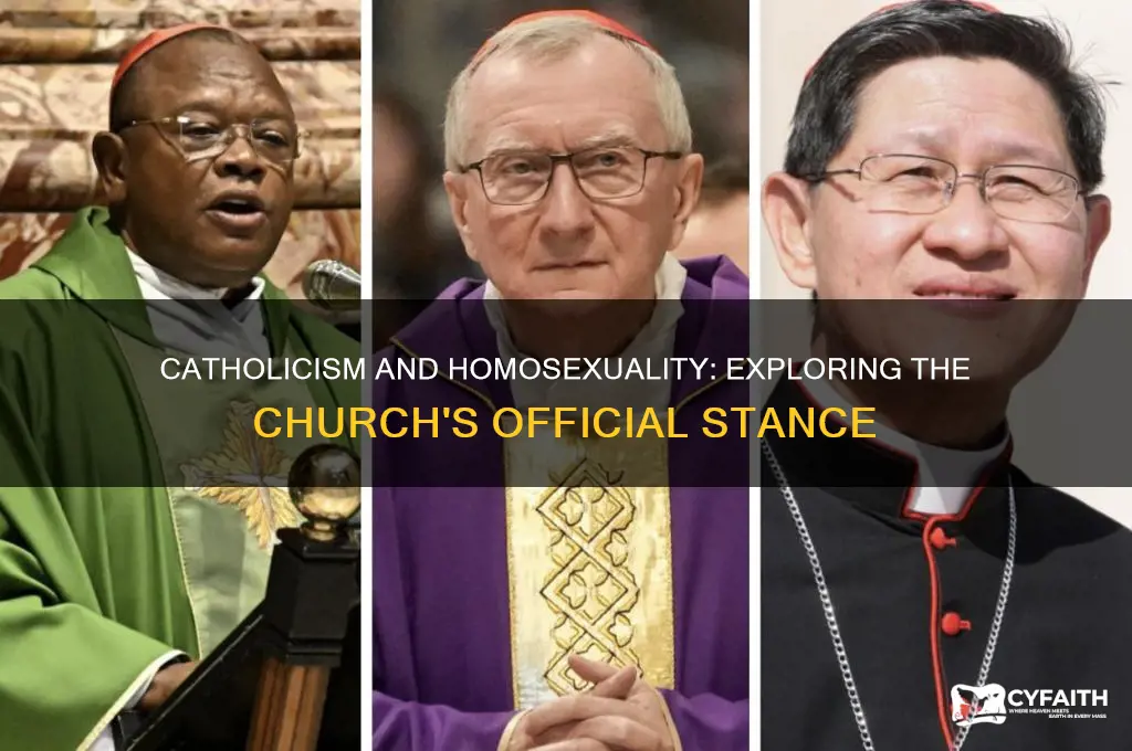 what is the official catholic stance on homosexuality