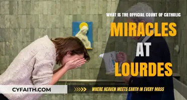 Exploring the Official Count of Catholic Miracles at Lourdes