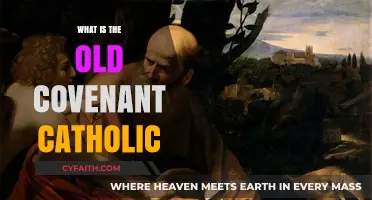 The Old Covenant: Catholic Perspective