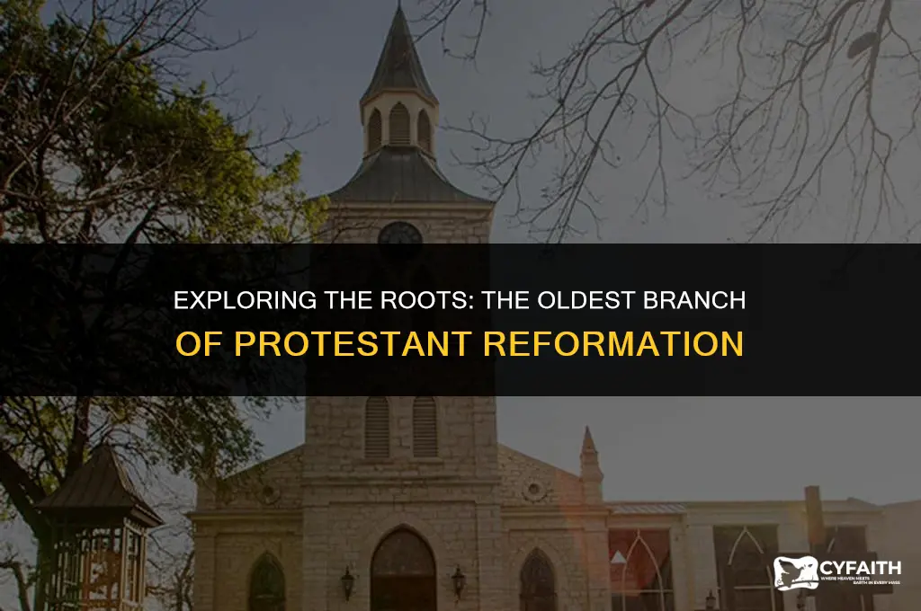 what is the oldest branch of protestant reformation