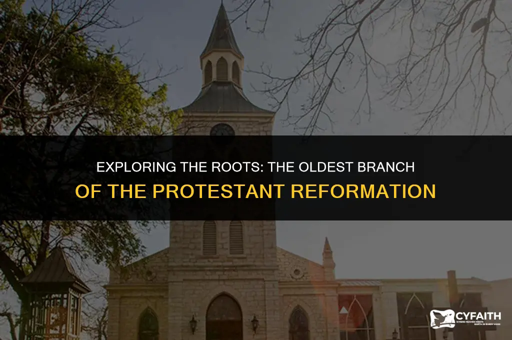 what is the oldest branch of the protestant reformaton