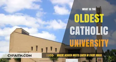 The Oldest Catholic University: A Historical Legacy