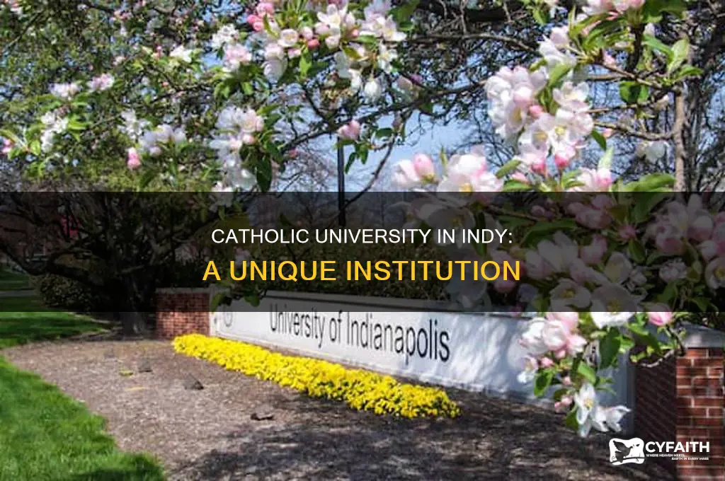 what is the only catholic university in indy