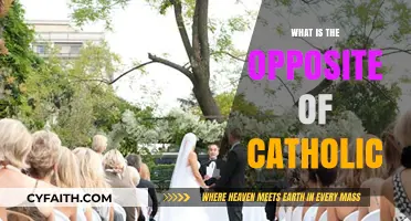 Exploring Contrasts: Non-Catholic Belief Systems