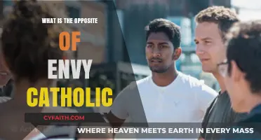 How to Overcome Envy and Jealousy: A Catholic Perspective
