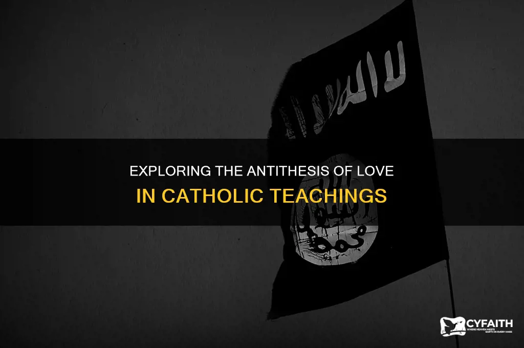 what is the opposite of love catholic