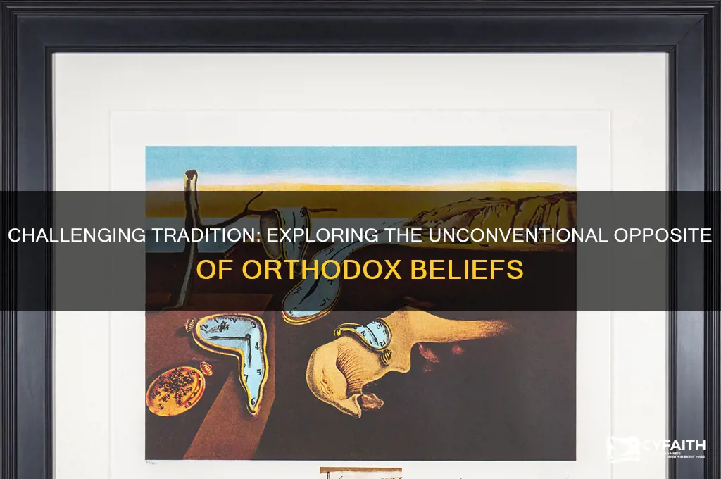 what is the opposite of orthodox