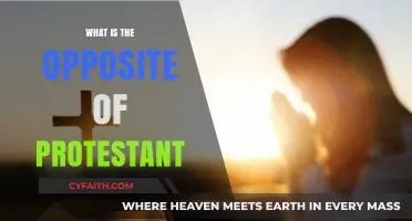 Exploring the Spectrum: Understanding the Opposite of Protestant
