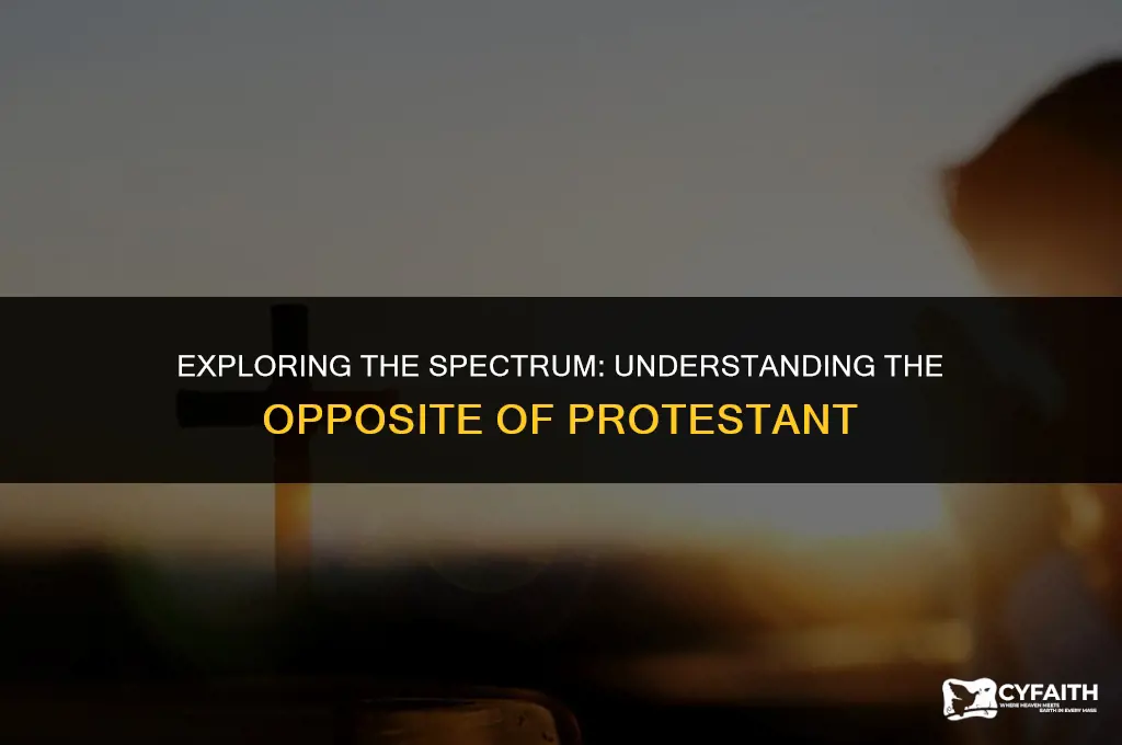 what is the opposite of protestant