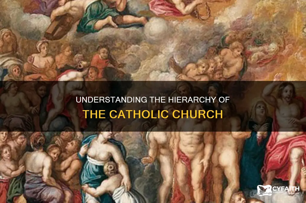 what is the order of the catholic hierarchy