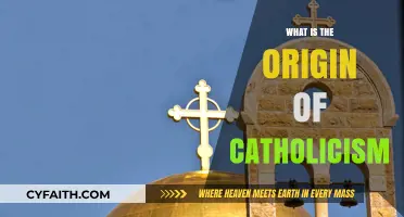 The Roots of Catholicism: A Historical Perspective