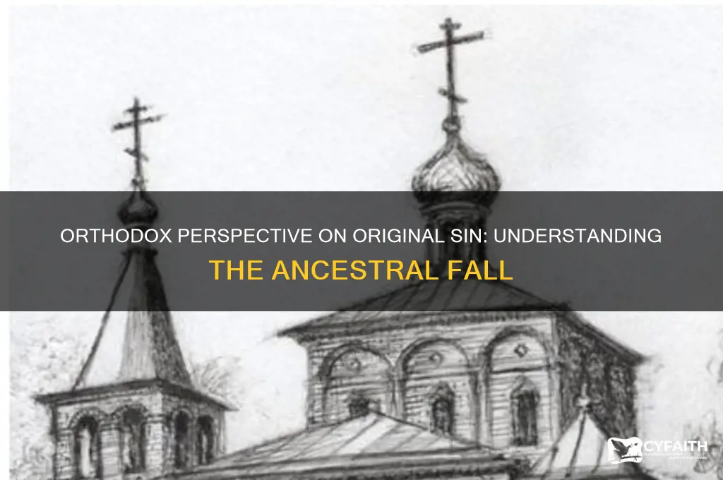 what is the orthodox belief on original sin