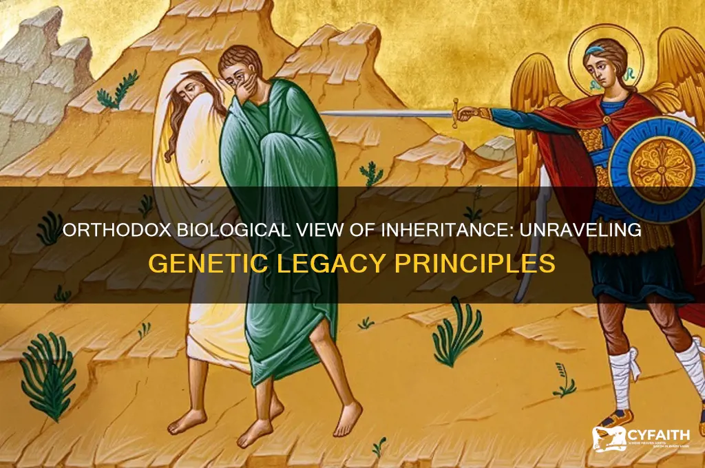 what is the orthodox biological view of inheritance