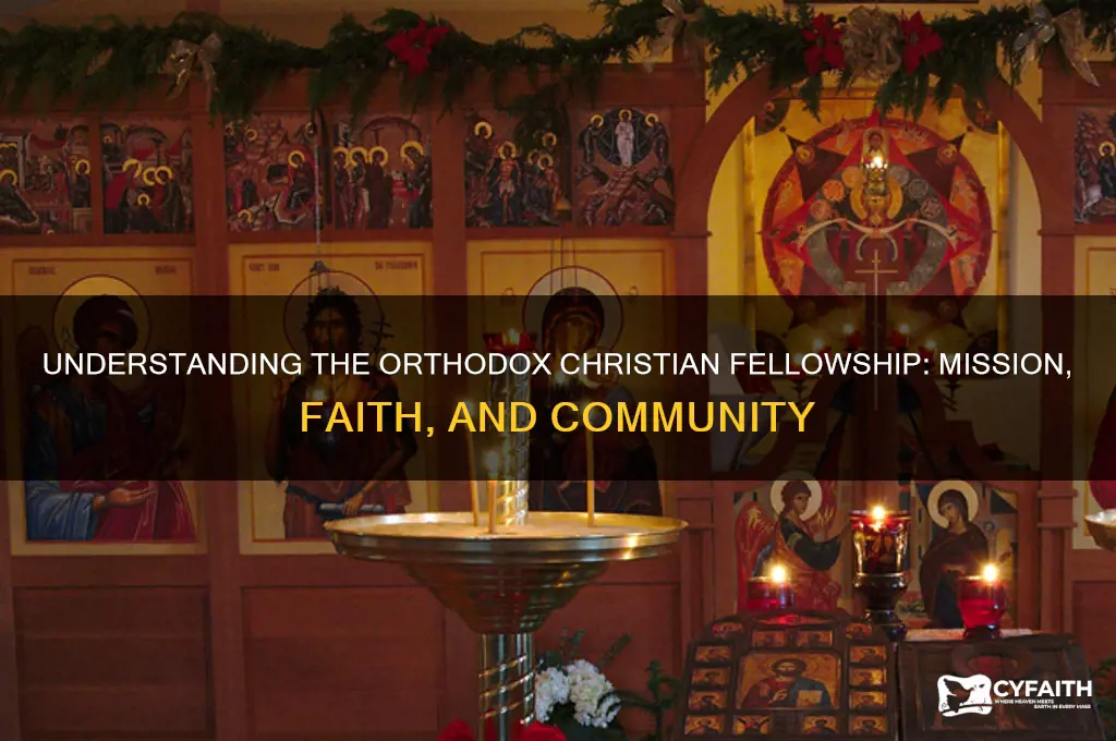 what is the orthodox christian fellowship