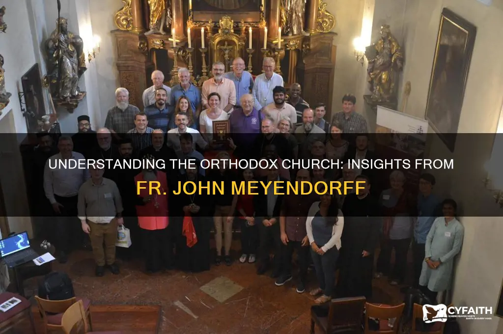 what is the orthodox church by fr john meyendorff