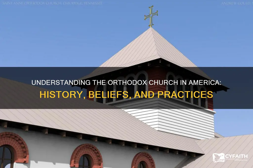 what is the orthodox church in america