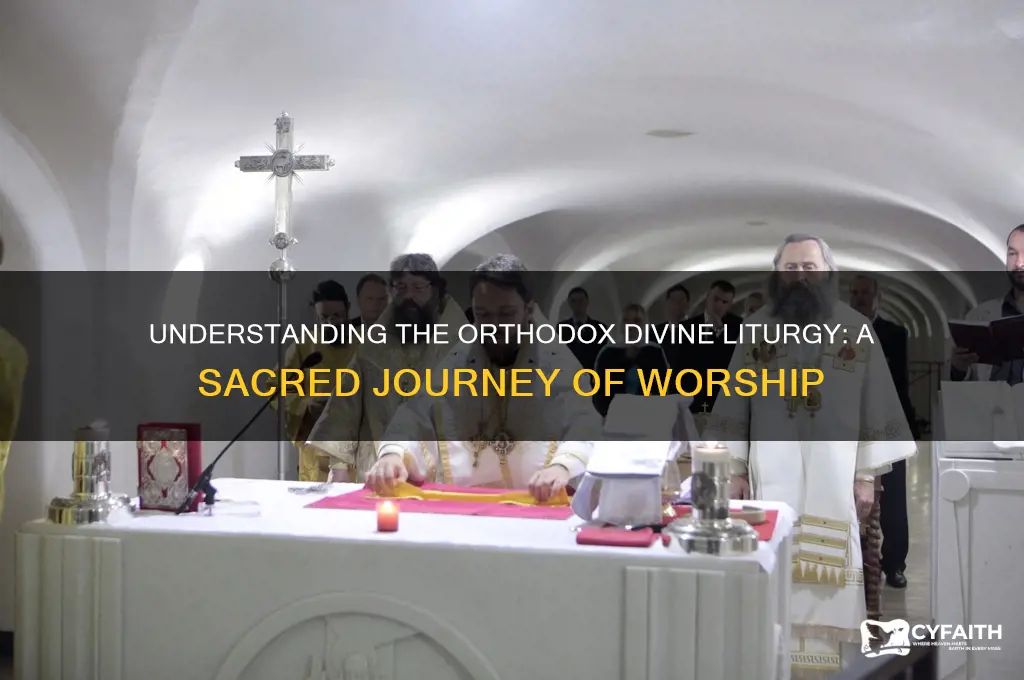 what is the orthodox divine liturgy