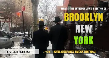 Exploring Brooklyn's Orthodox Jewish Enclave: Culture, Community, and Traditions