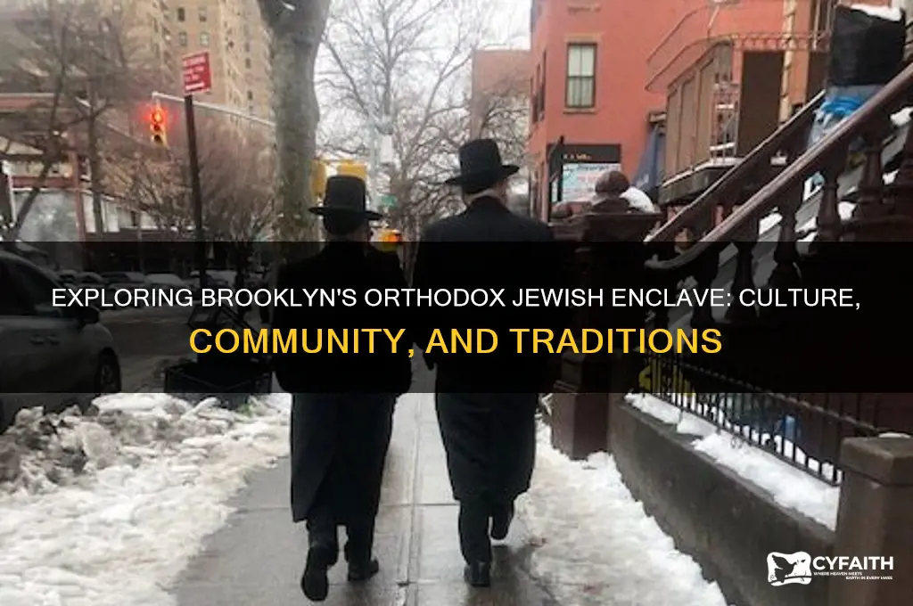 what is the orthodox jewish section of brooklyn new york