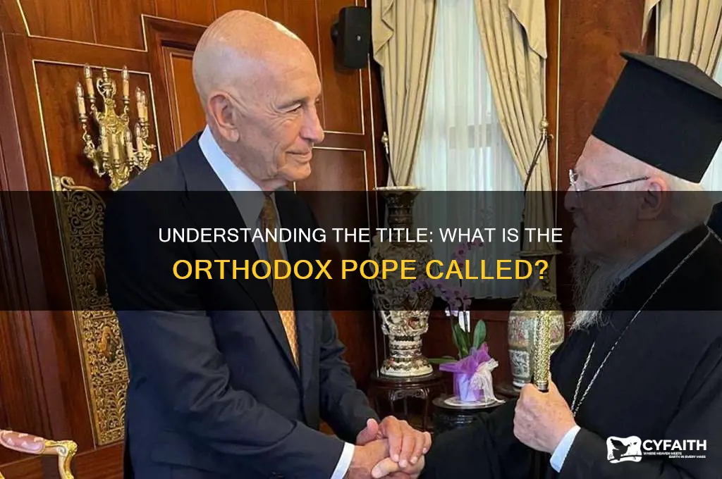 what is the orthodox pope called