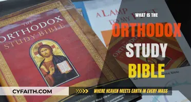 Understanding the Orthodox Study Bible: A Comprehensive Guide to Its Teachings