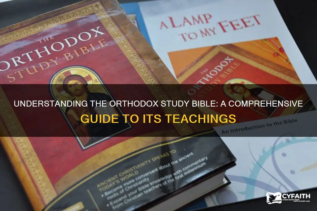 what is the orthodox study bible