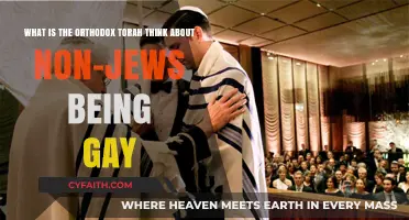 Orthodox Torah Perspectives on Non-Jewish Homosexuality: Exploring Views