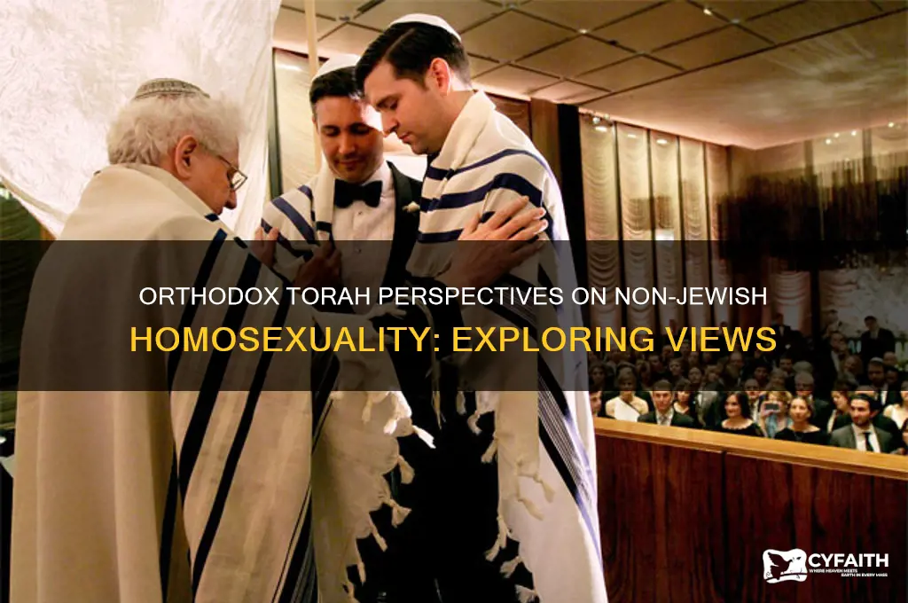 what is the orthodox torah think about non-jews being gay
