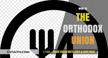 Understanding the Orthodox Union: A Comprehensive Guide to Its Role and Impact