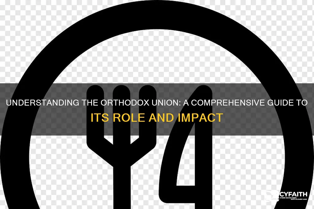 what is the orthodox union