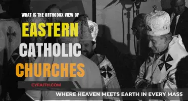 Understanding the Orthodox Perspective on Eastern Catholic Churches