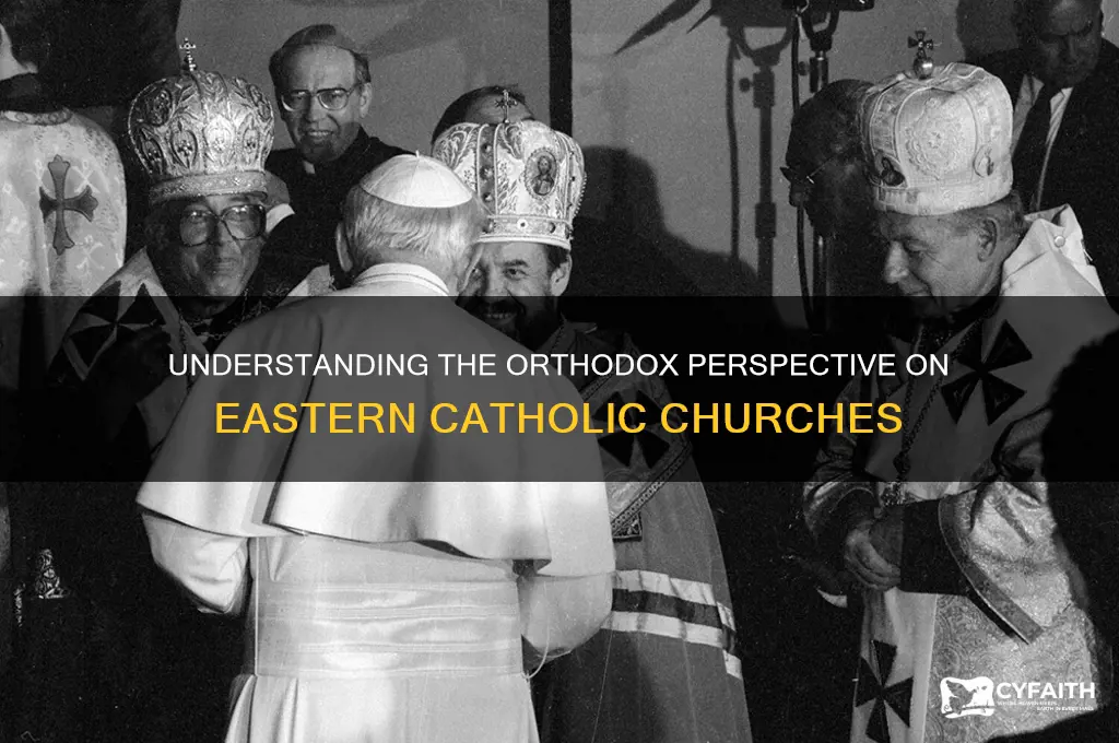 what is the orthodox view of eastern catholic churches
