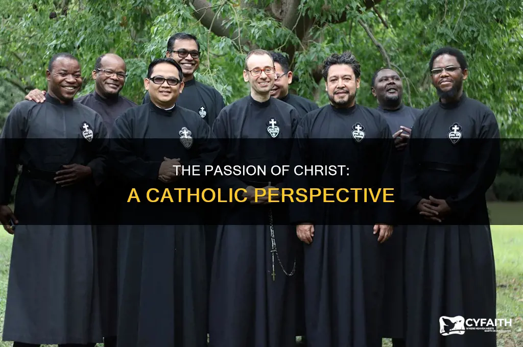 what is the passion of christ catholic