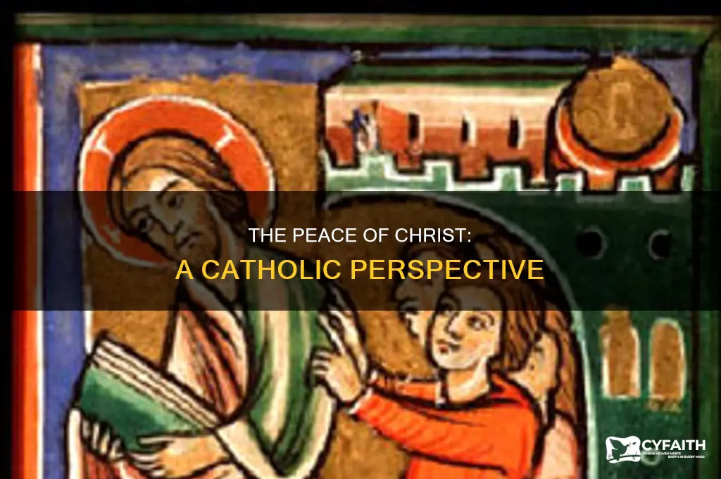 what is the peace jesus gives catholic