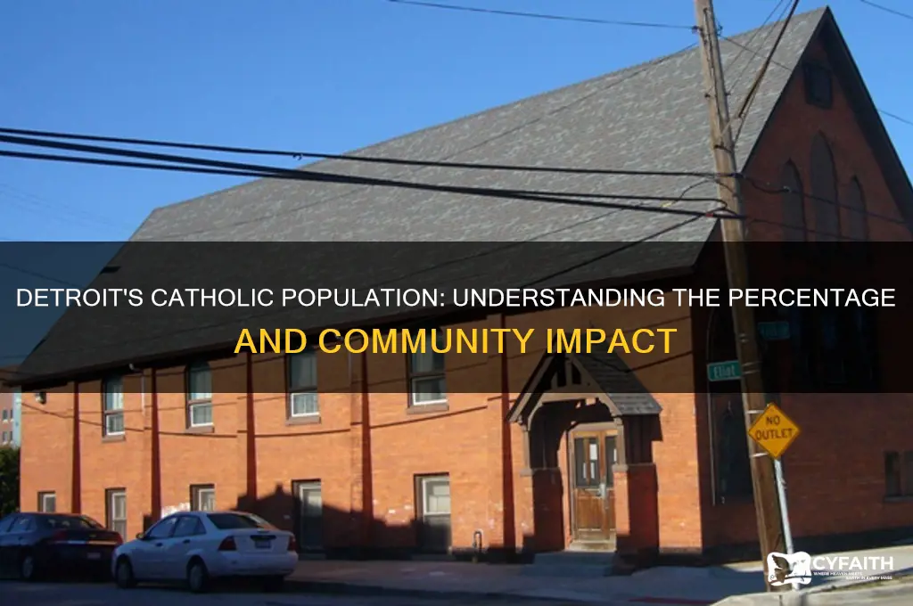 what is the percent of catholics that live in detroit