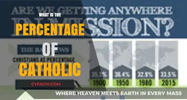 Catholics: A Significant Global Religious Group