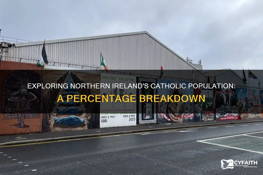 what is the percentage of catholics in northern ireland