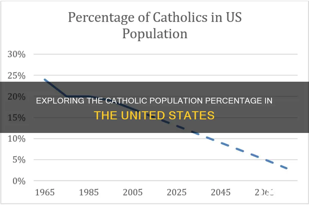 what is the percentage of catholics in the united states