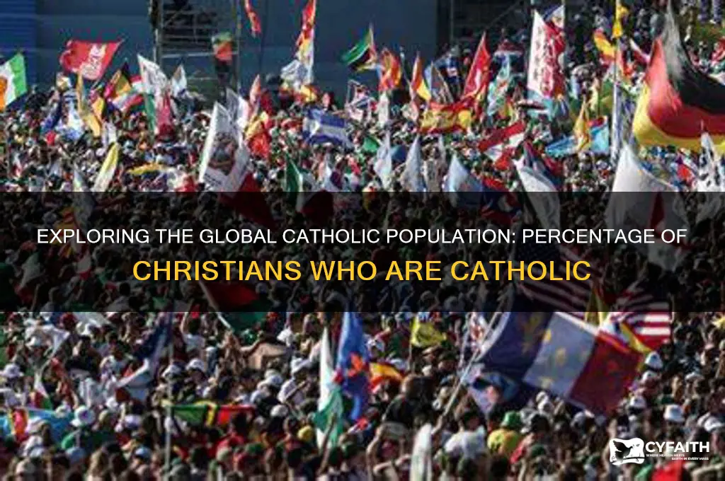 what is the percentage of christians who are catholics