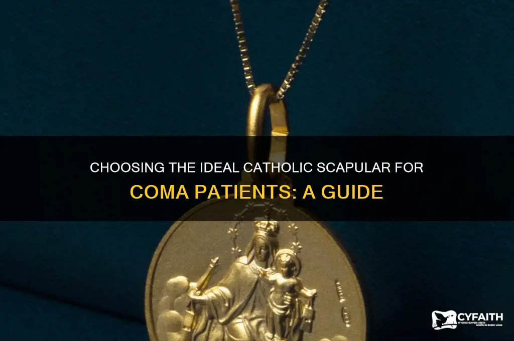 what is the perfect blessed catholic scapular for coma patient