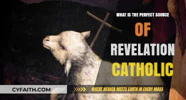 The Catholic Revelation: A Guide to the Perfect Source