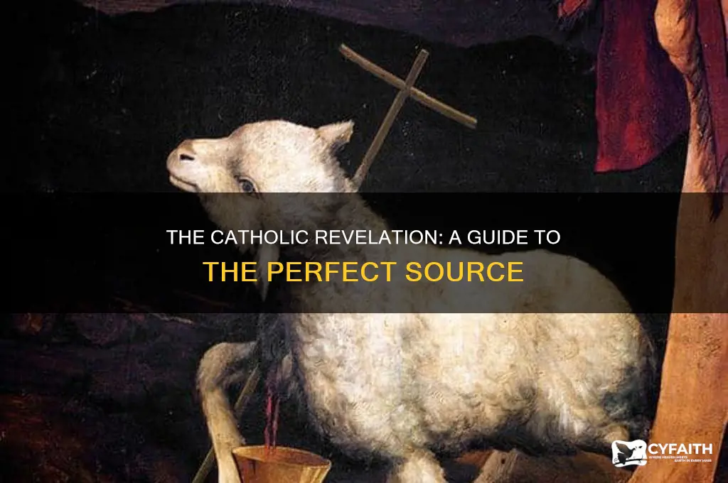 what is the perfect source of revelation catholic