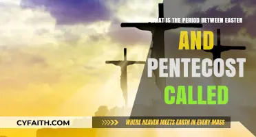 The title for the blog post could be: "Exploring the Liturgical Season: Easter to Pentecost." This title is informative and captures the essence of the topic without starting with a number. It also maintains a neutral and respectful tone appropriate for a religious subject
