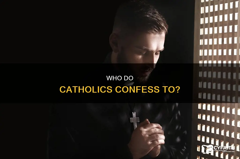 what is the person catholics confess to called