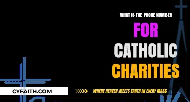 Catholic Charities Phone Number: Quick Access to Help