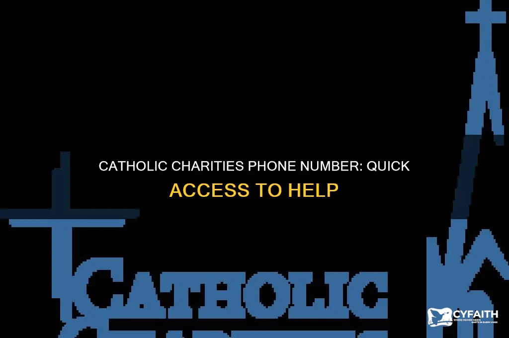 what is the phone number for catholic charities