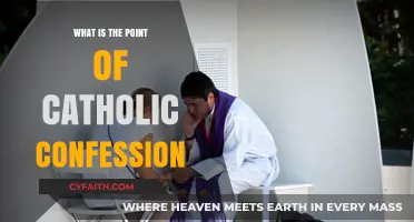 The Power of Catholic Confession